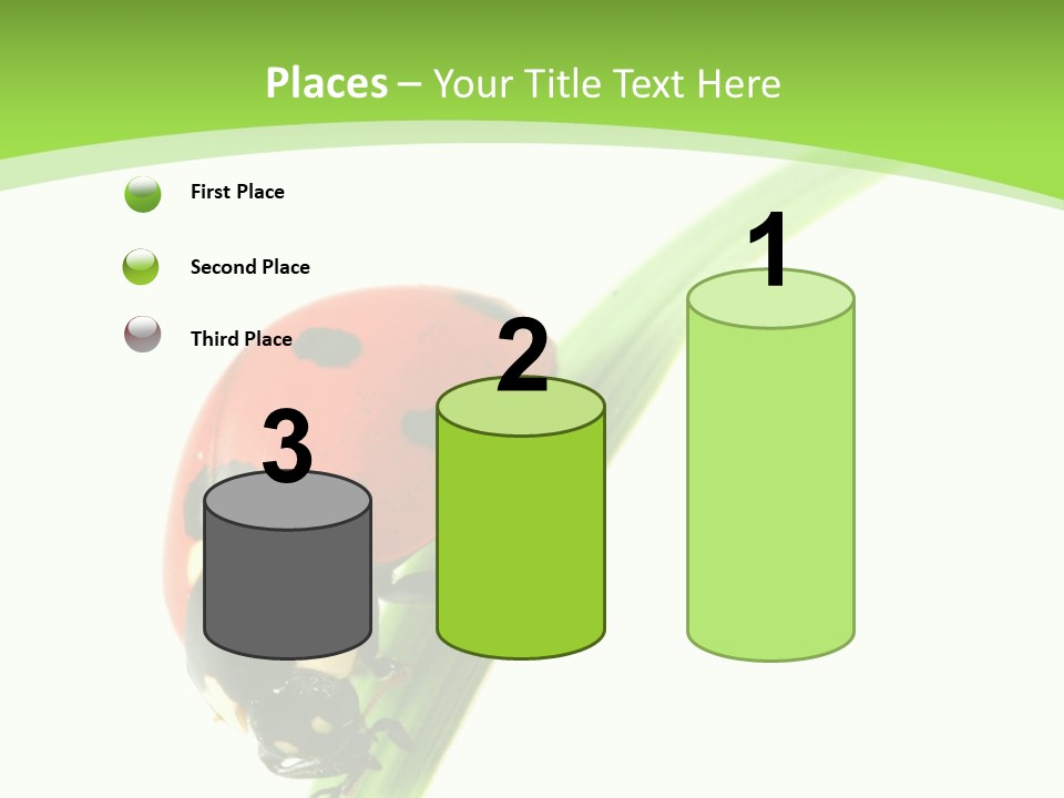 Nature Bright Concept PowerPoint Template