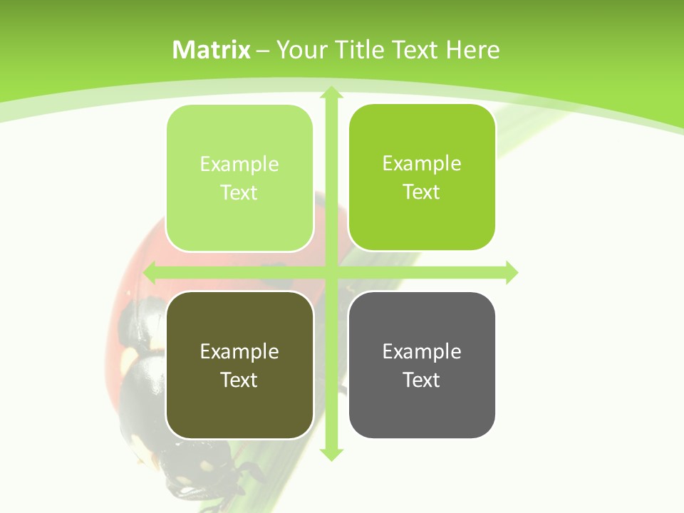 Nature Bright Concept PowerPoint Template