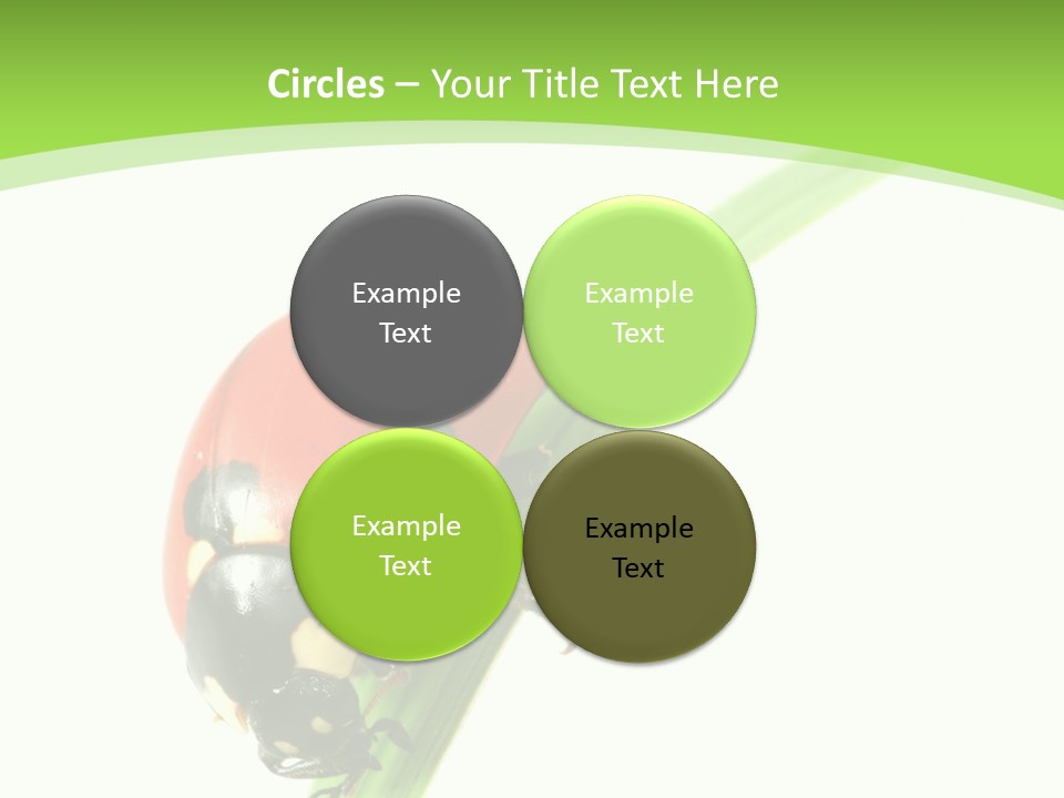 Nature Bright Concept PowerPoint Template