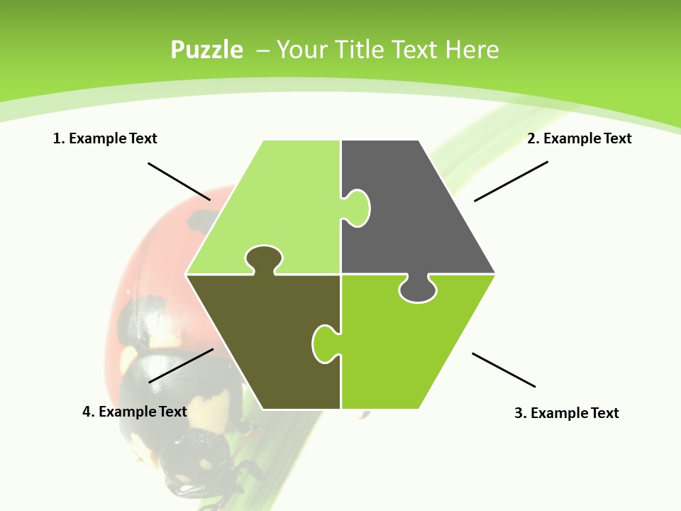 Nature Bright Concept PowerPoint Template