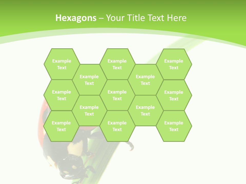 Nature Bright Concept PowerPoint Template