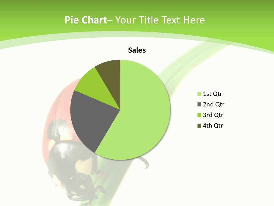 Nature Bright Concept PowerPoint Template