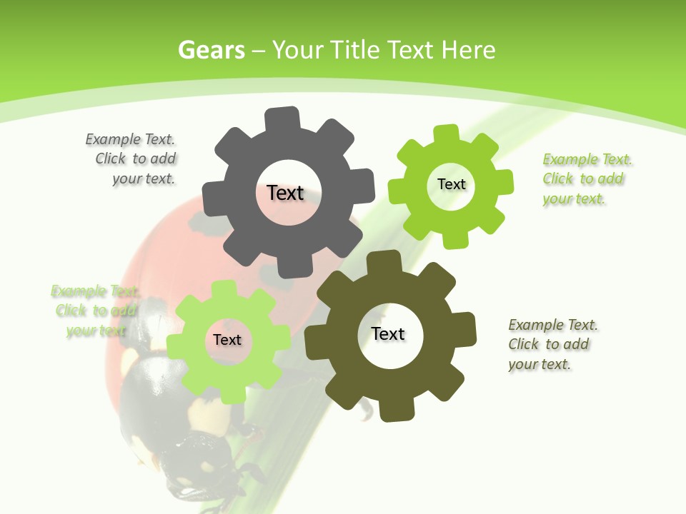 Nature Bright Concept PowerPoint Template