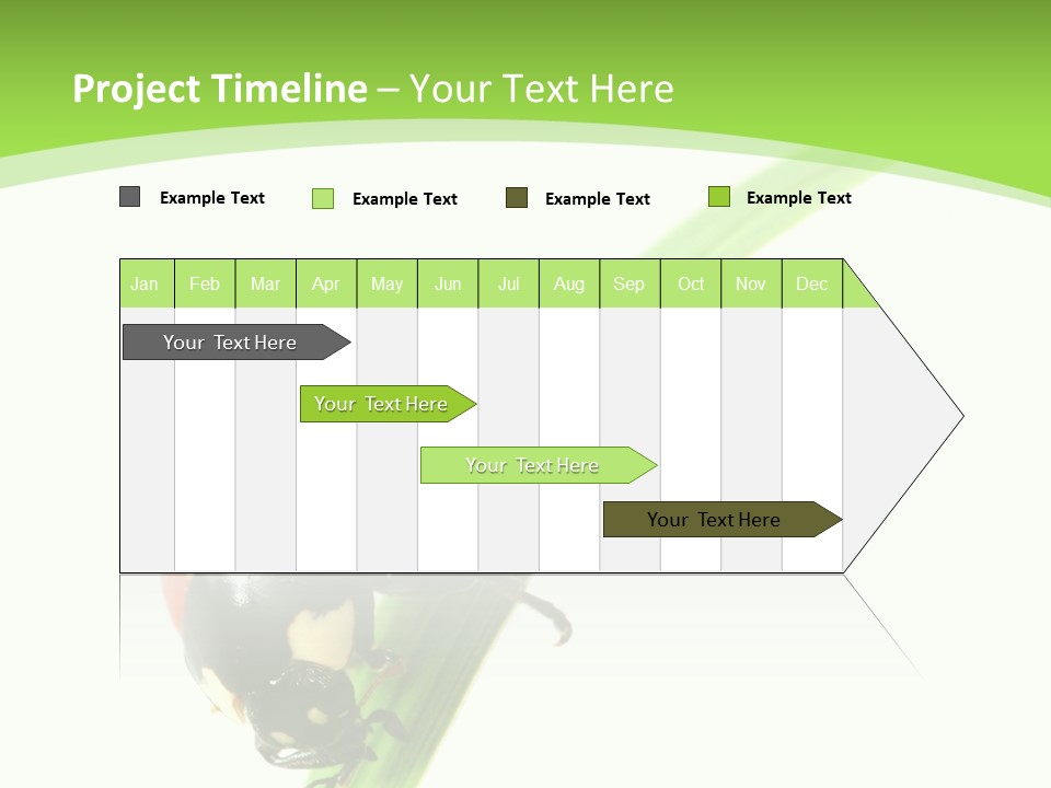 Nature Bright Concept PowerPoint Template