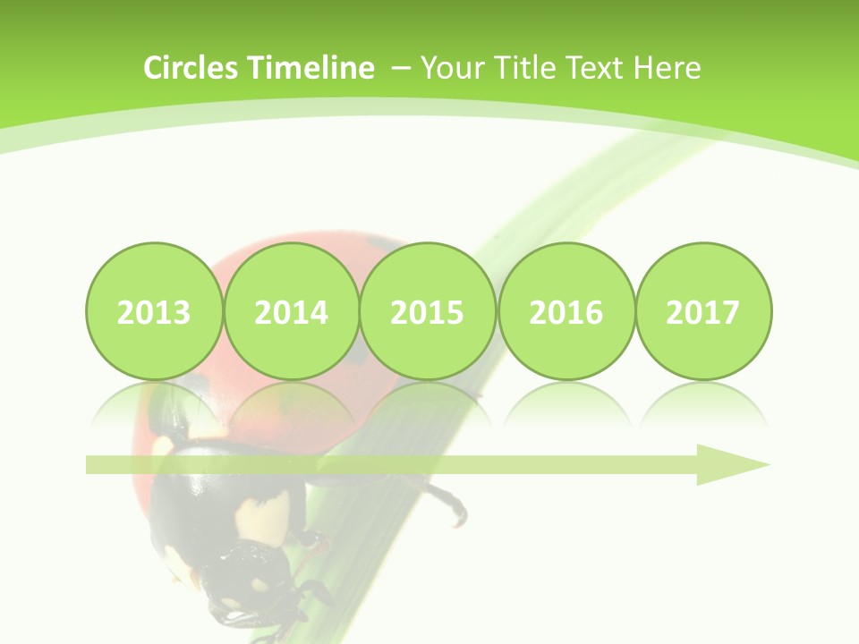 Nature Bright Concept PowerPoint Template