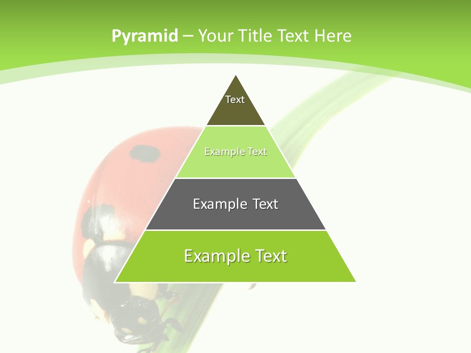 Nature Bright Concept PowerPoint Template