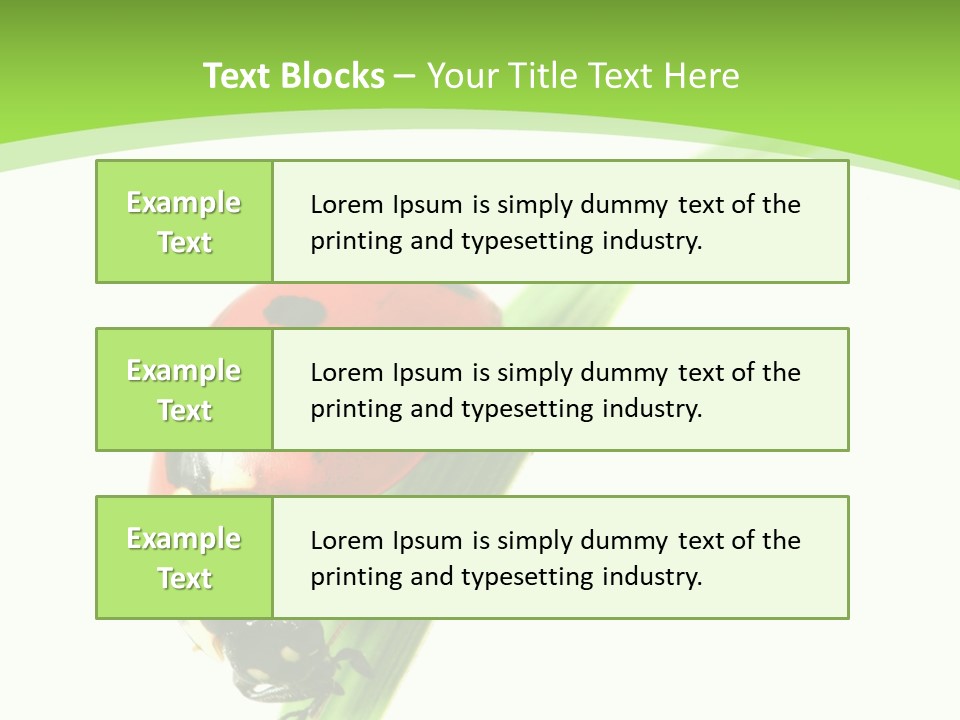 Nature Bright Concept PowerPoint Template