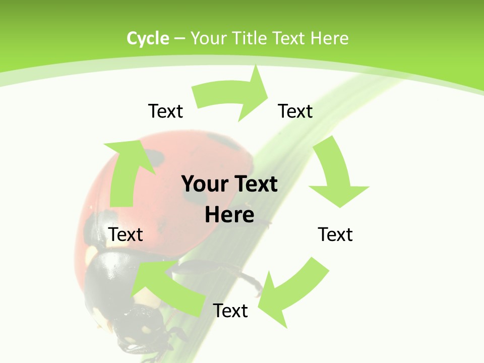 Nature Bright Concept PowerPoint Template