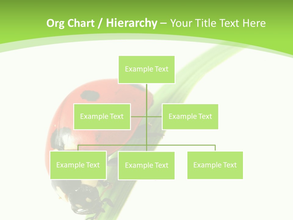 Nature Bright Concept PowerPoint Template