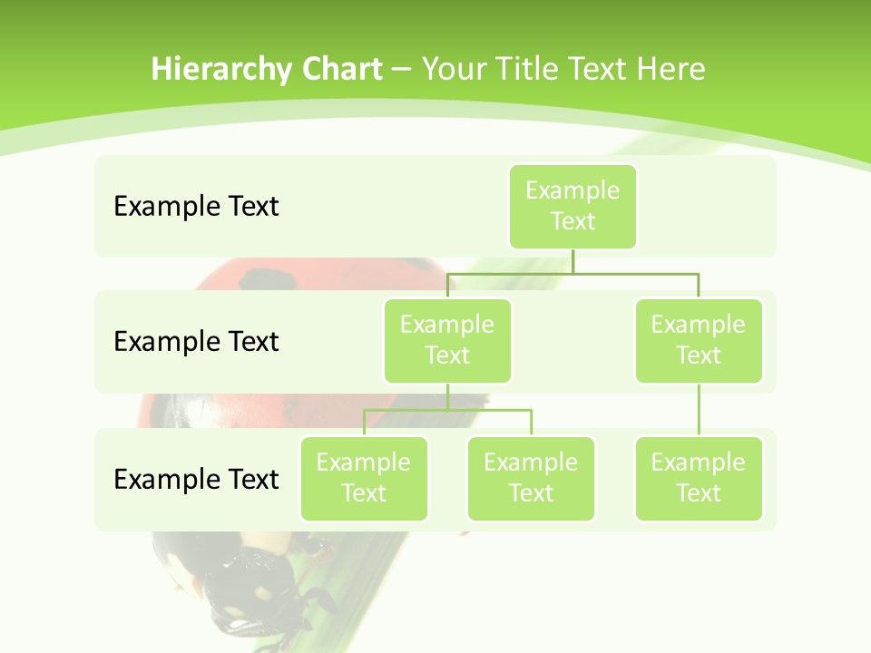 Nature Bright Concept PowerPoint Template