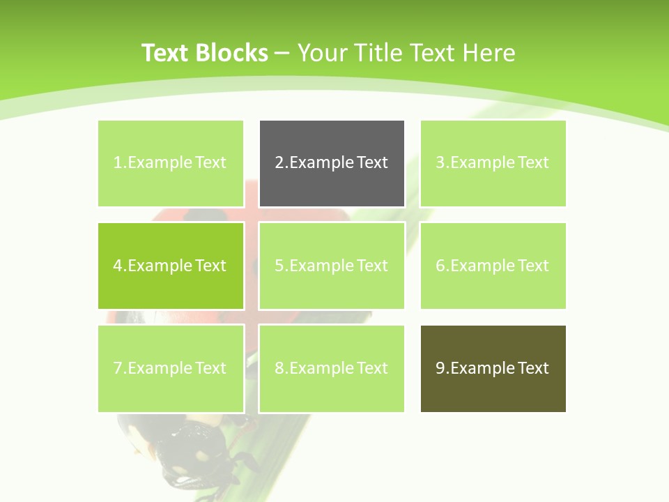 Nature Bright Concept PowerPoint Template