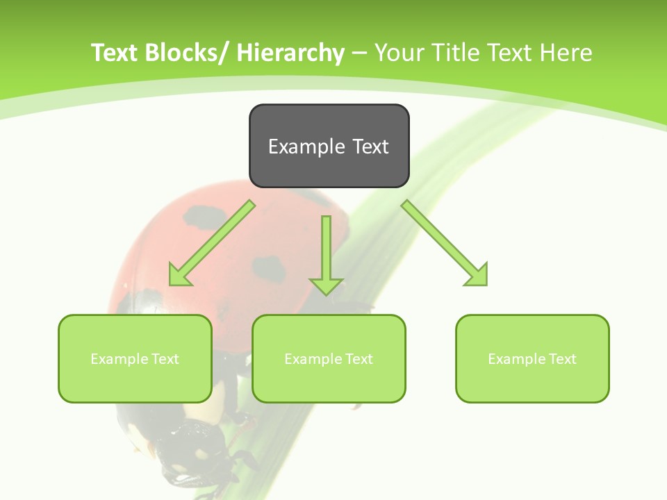 Nature Bright Concept PowerPoint Template