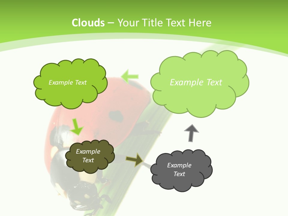 Nature Bright Concept PowerPoint Template