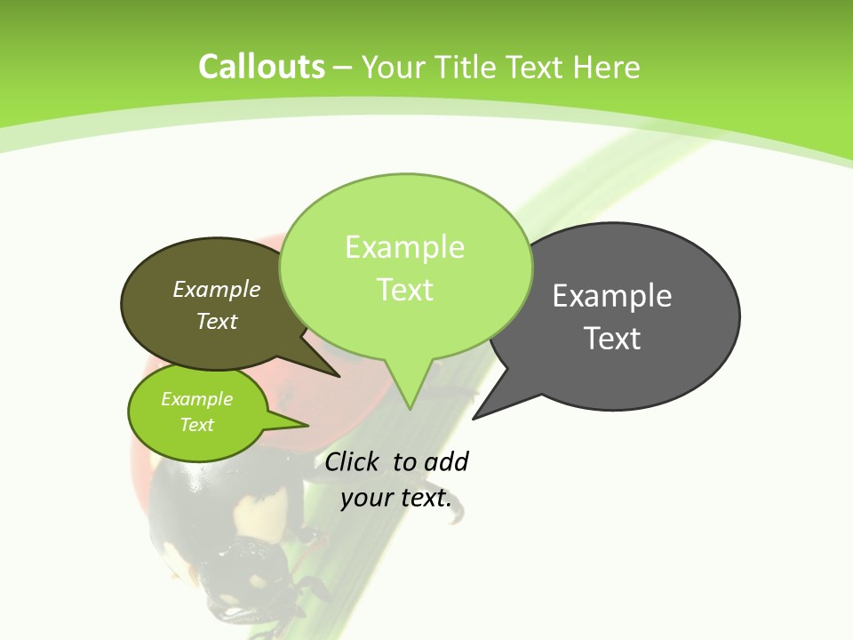 Nature Bright Concept PowerPoint Template