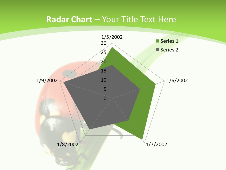 Nature Bright Concept PowerPoint Template