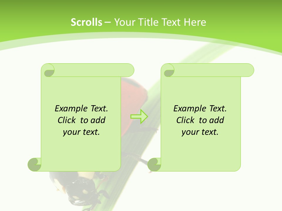 Nature Bright Concept PowerPoint Template