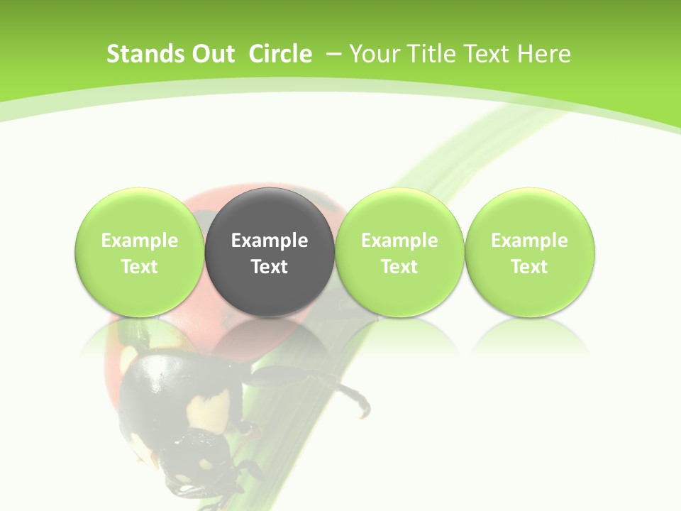 Nature Bright Concept PowerPoint Template