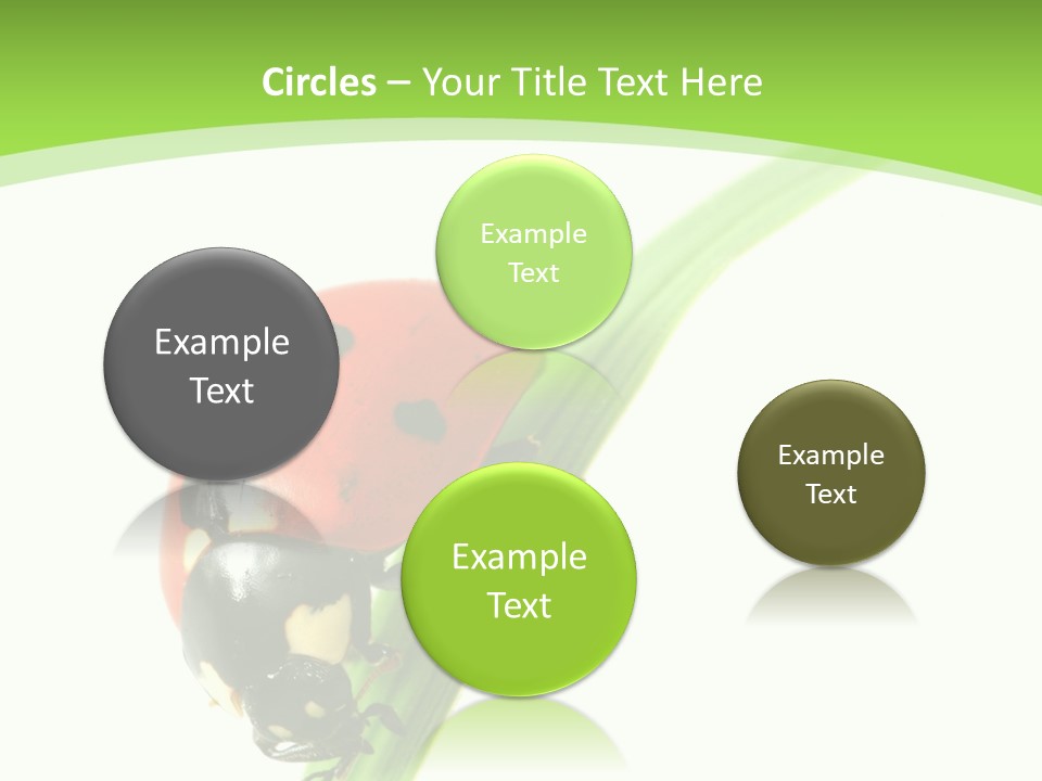 Nature Bright Concept PowerPoint Template