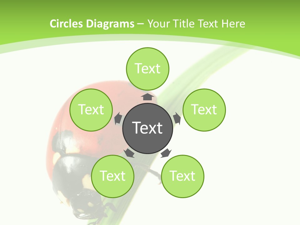 Nature Bright Concept PowerPoint Template