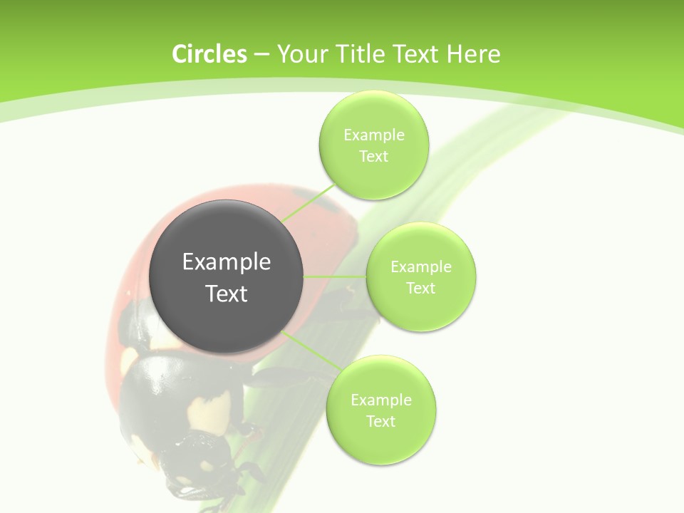 Nature Bright Concept PowerPoint Template