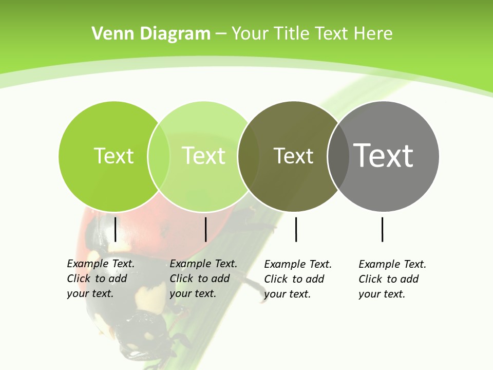 Nature Bright Concept PowerPoint Template
