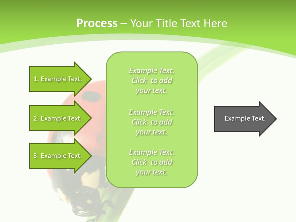 Nature Bright Concept PowerPoint Template