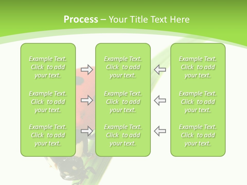 Nature Bright Concept PowerPoint Template