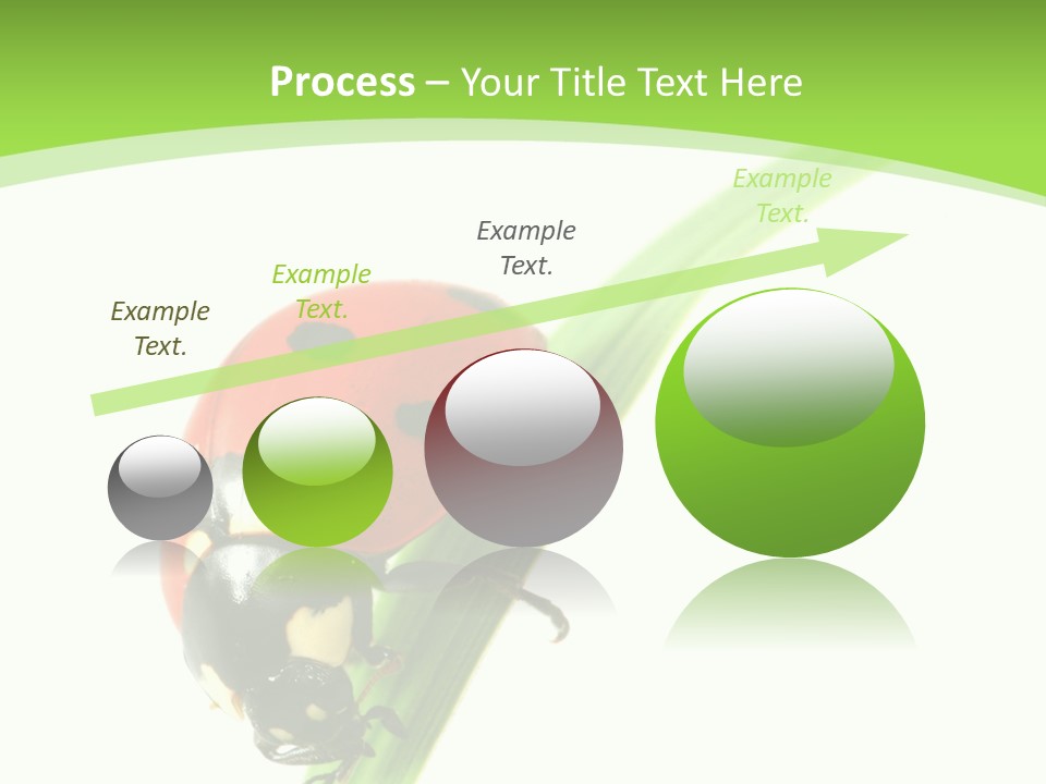 Nature Bright Concept PowerPoint Template