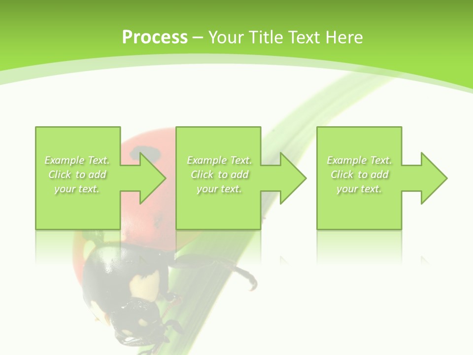 Nature Bright Concept PowerPoint Template