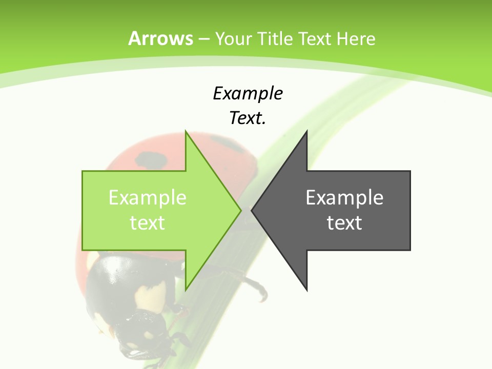 Nature Bright Concept PowerPoint Template