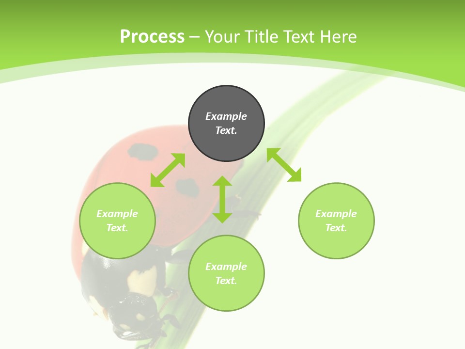 Nature Bright Concept PowerPoint Template