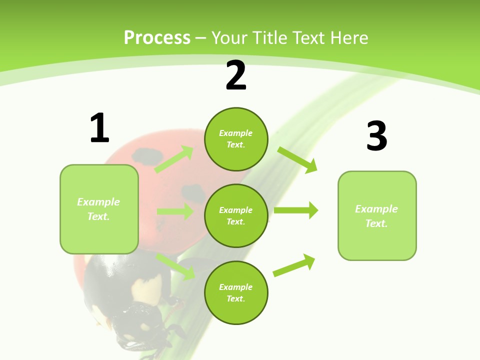 Nature Bright Concept PowerPoint Template