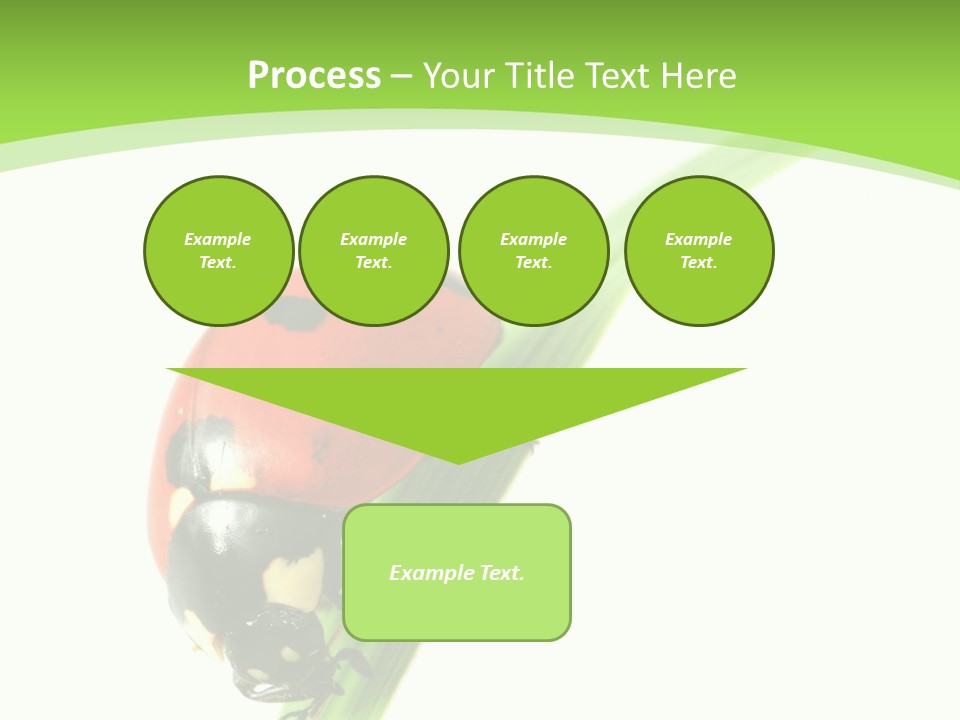 Nature Bright Concept PowerPoint Template