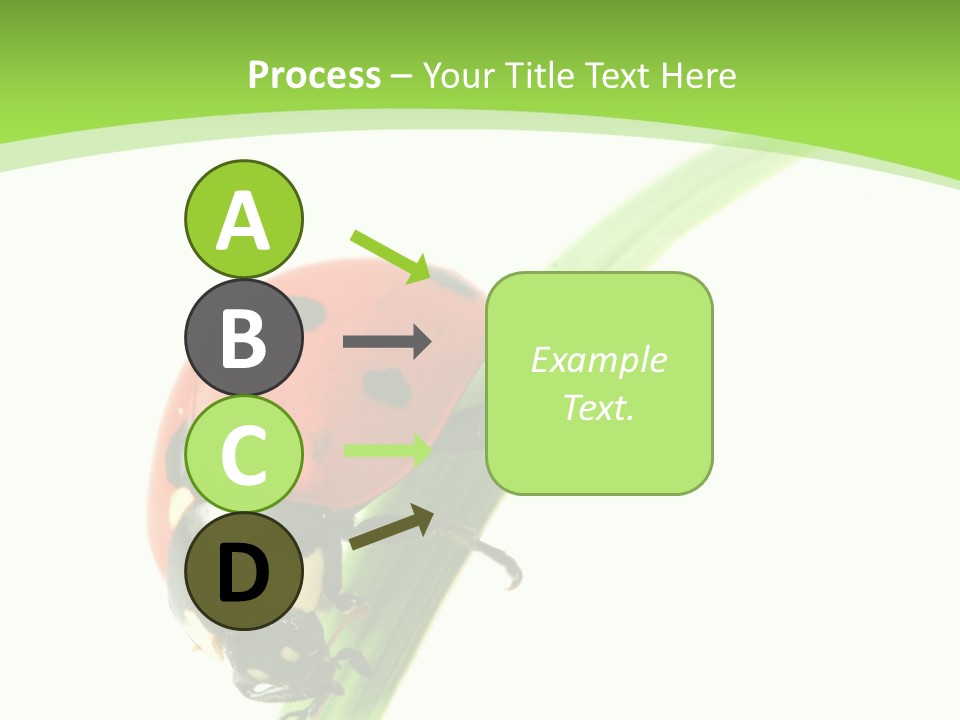 Nature Bright Concept PowerPoint Template