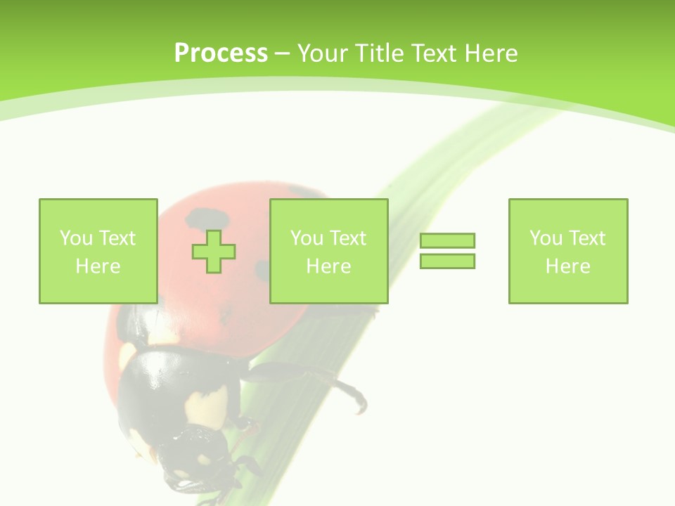 Nature Bright Concept PowerPoint Template