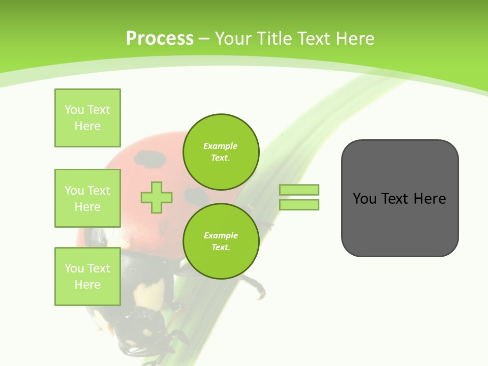Nature Bright Concept PowerPoint Template