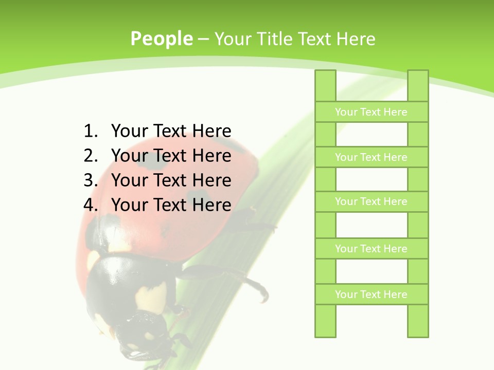 Nature Bright Concept PowerPoint Template