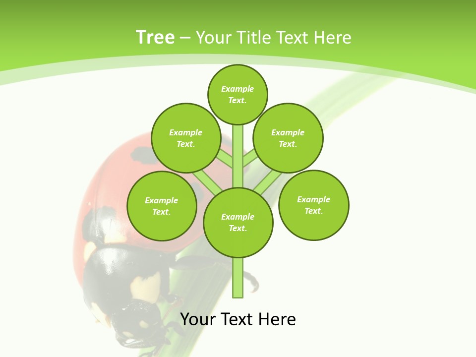 Nature Bright Concept PowerPoint Template