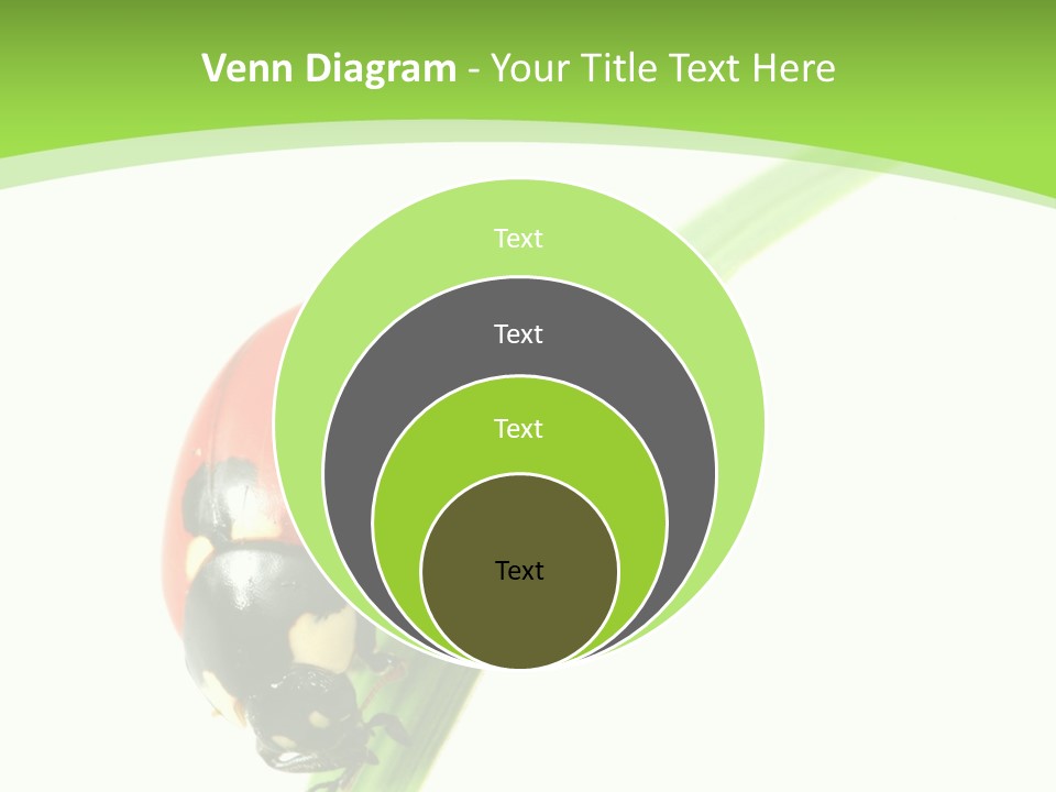 Nature Bright Concept PowerPoint Template