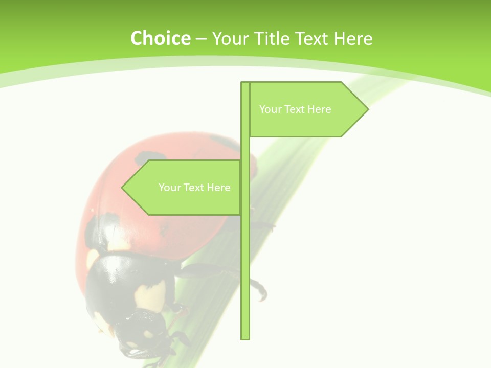 Nature Bright Concept PowerPoint Template