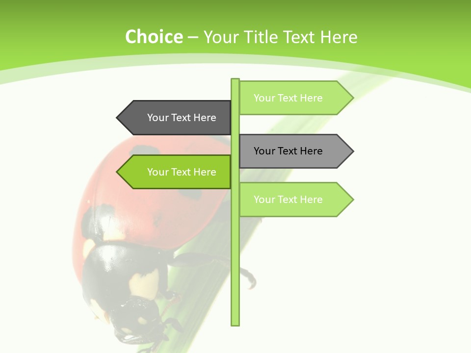 Nature Bright Concept PowerPoint Template