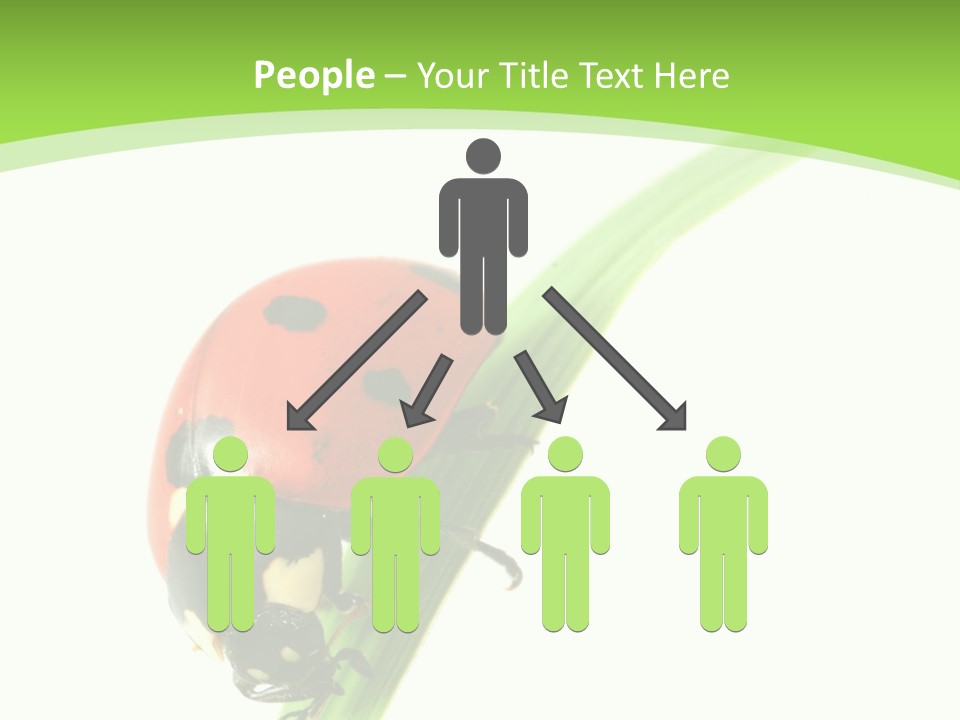 Nature Bright Concept PowerPoint Template