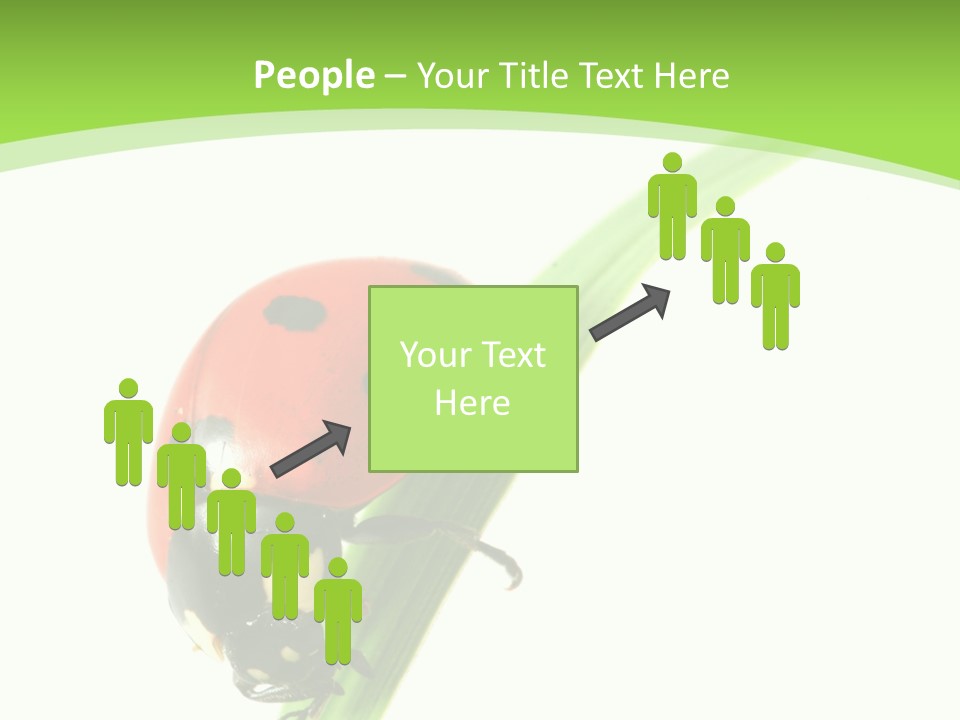 Nature Bright Concept PowerPoint Template