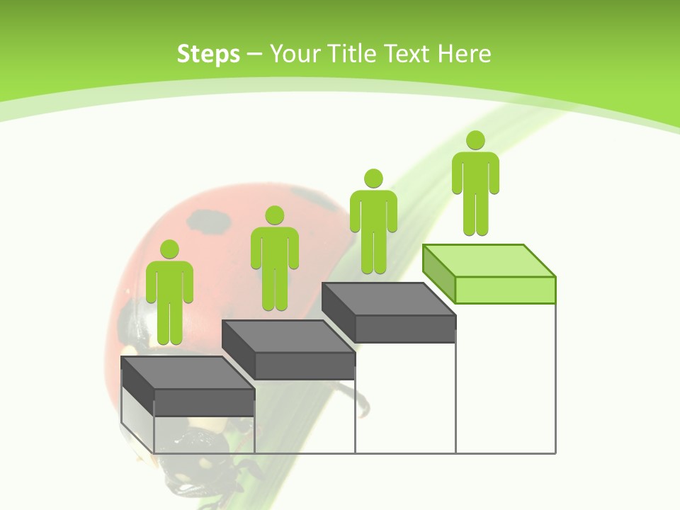 Nature Bright Concept PowerPoint Template