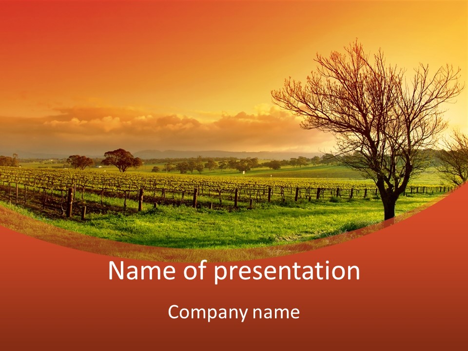 Field Chardonnay Travel PowerPoint Template