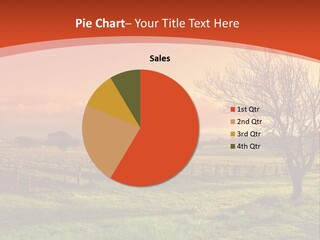 Field Chardonnay Travel PowerPoint Template