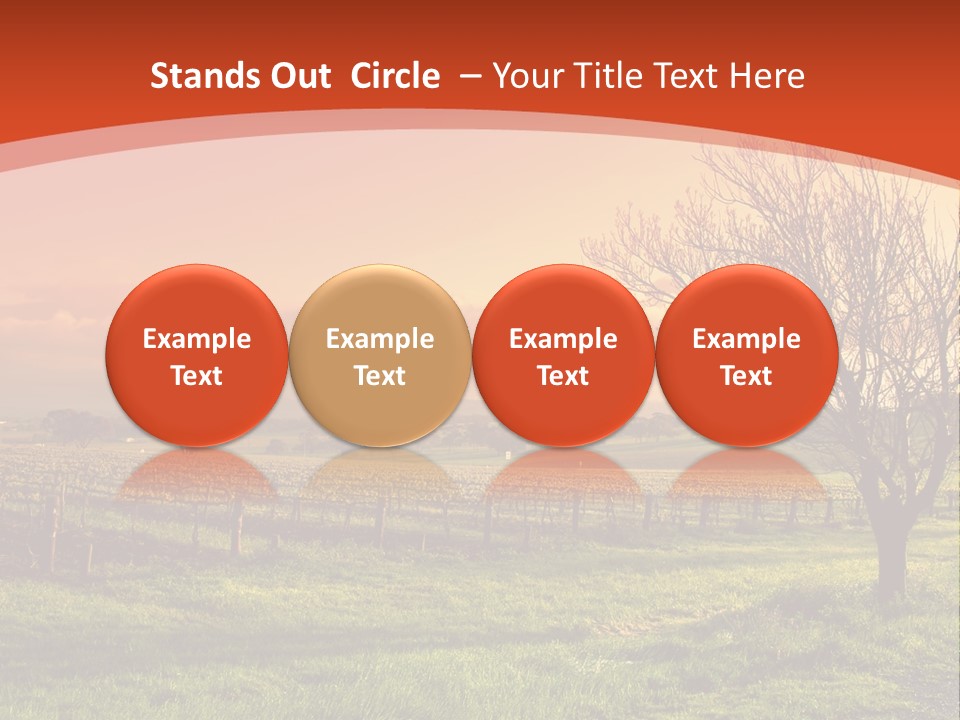 Field Chardonnay Travel PowerPoint Template