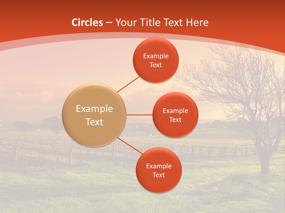 Field Chardonnay Travel PowerPoint Template