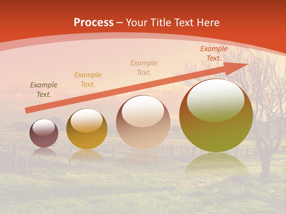 Field Chardonnay Travel PowerPoint Template
