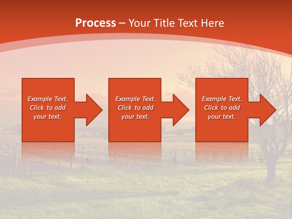 Field Chardonnay Travel PowerPoint Template